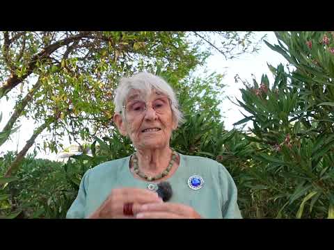 Prof. Dr. Canan Karatay - Safra kesesinde taş ve çamur oluşumunun temel sebebi