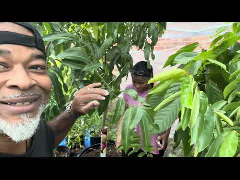 $3.50 EMERGENCY HEAT FOR YOUR GREENHOUSE GARDEN‼️ 