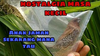 Download lagu jebak burung emprit menggunakan kantong plastik mp3 Download lagu jebak burung emprit menggunakan kantong plastik mp3