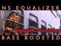 Elangaathu Veesuthey Song Pidhamagan Songs BASS BOOSTED Ilaiyaraja Songs NS EQUALIZER