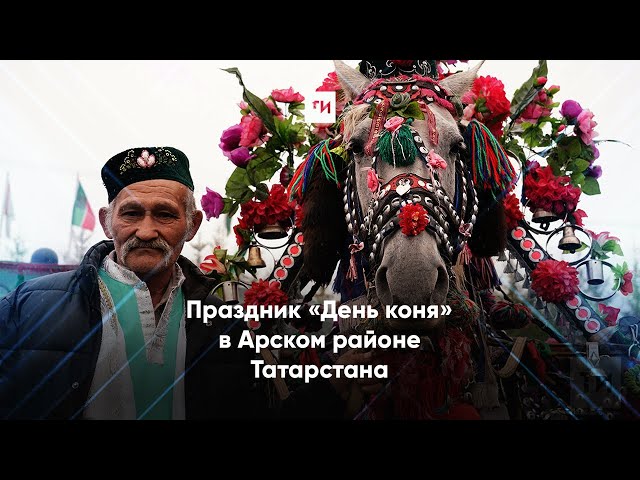 Праздник «День коня» прошел в Арском районе Татарстана