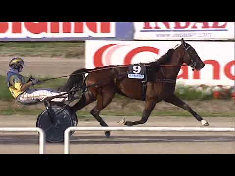 Napoli Trotto 27/10/2023 - 4ª corsa