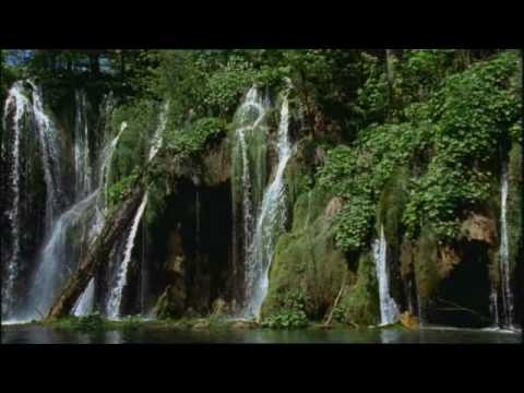 LIKO MOJA TAMBURICE STARA