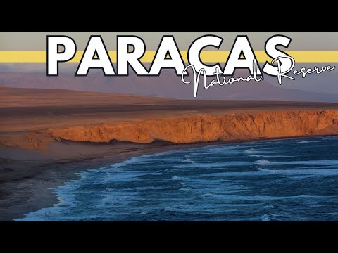 Paracas National Reserve: Peru's Coastal Marvels | Travel Guide