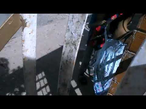 La purga La peliparodia