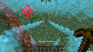 Playing 1 by 1 Minecraft