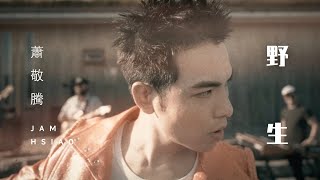 蕭敬騰 Jam Hsiao 《野生WILD /MILD》Official Music Video