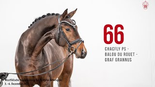 Video von Chac Berry