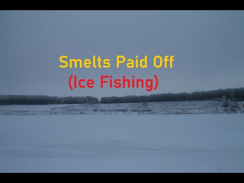 Smelts Paid Off ( Ice Fishing)
