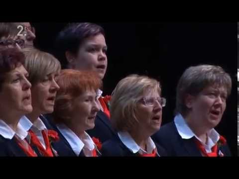 Tržaški partizanski pevski zbor Pinko Tomažič - Na Kordunu