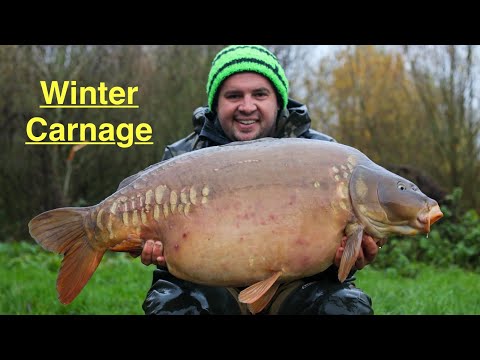 Winter CARP fishing, Catching big carp in cold conditions!