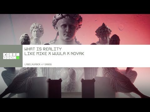 Like Mike x WUULA x Novak - What Is Reality [Official Visualizer]
