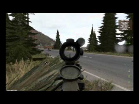 Day Z - BEEEEEEEEEEEES