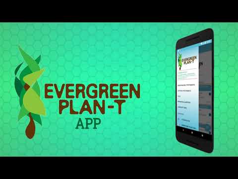 Evergreen Plan-T