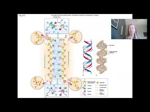 Microbiology Genetics (Chapter 8) Part I