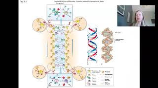 Microbiology Genetics (Chapter 8) Part I