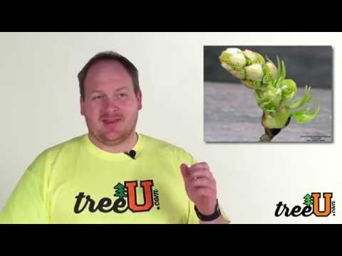 YouTube Thumbnail HQeTMFgZ7b4