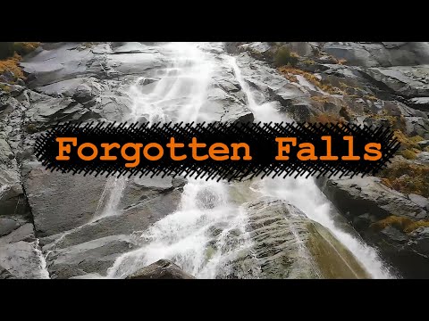 Mindless Paresthesia - Forgotten Falls