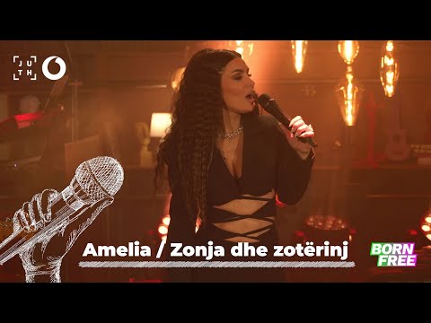 Besa Kokëdhima - Amelia & Zonja dhe zotërinj | A•Live•Night - 4K