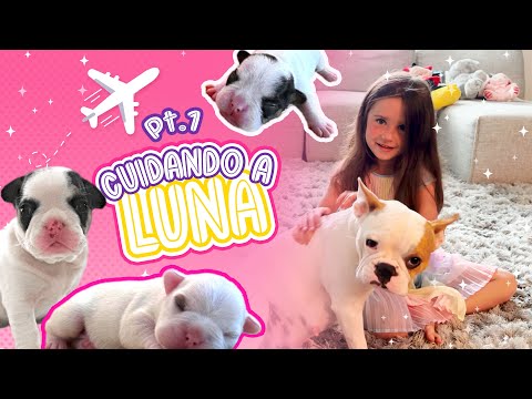 I Became a Puppy Mom During my Vacation - Part 1 | Playing with Saritah