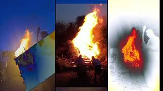 The Bonnevilles - Age Of Monsters (Official Video)