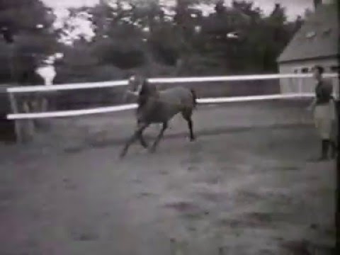 Halsteren 8 mm film 1965 Halsteren deel 02