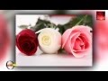 Alla Pugacheva Million Roses 