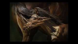 If wishes were horses.