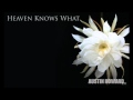 Austin Howard - Heaven Knows (HQ) 