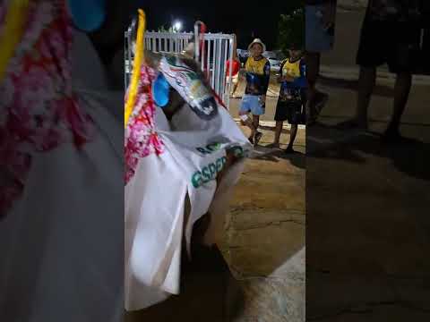 #cultura #piauiense #nordeste #boa hora Piauí 2026