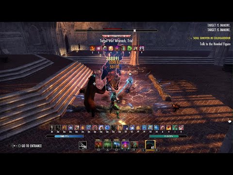 Magicka Warden - 91K DPS - Waking Flame