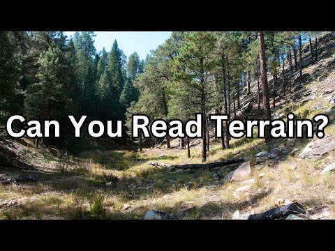 How To Read The Forest Floor (Secrets For Navigation & Ecology)