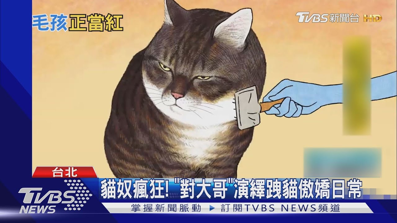 《叫我對大哥》還原傲嬌貓日常 史酷比、膽小狗合體電影