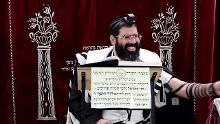 זבחים דף כ"ה ע"ב ¤ הרב נתנאל אברז'ל ¤ בית הכנסת "בית מרדכי" (מוסדות תורת דוד) - התמונה מוצגת ישירות מתוך אתר האינטרנט יוטיוב. זכויות היוצרים בתמונה שייכות ליוצרה. קישור קרדיט למקור התוכן נמצא בתוך דף הסרטון