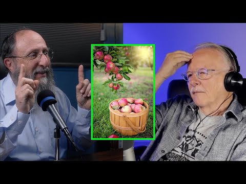 Beginning to understand Genesis (Parshat Bereshit)  | Jerusalem Lights Podcast