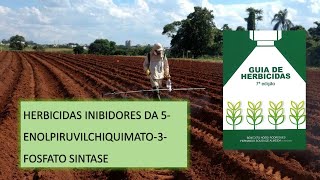 MECANISMO DE AÇÃO: EPSPs