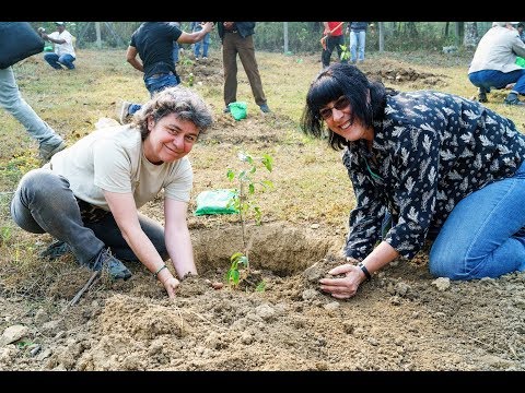 2016 World Wood Day - Tree Planting