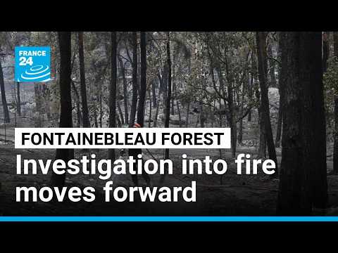 Fire reignites in Fontainebleau forest as investigation continues