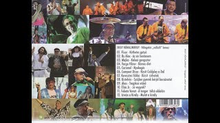 Irigy Hónaljmirigy: István a Király - Mulat a király