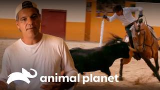 Thumbnail del capítulo