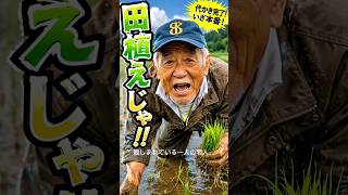 おじいちゃんの生い立ち   #自然  #癒し  #田植え
