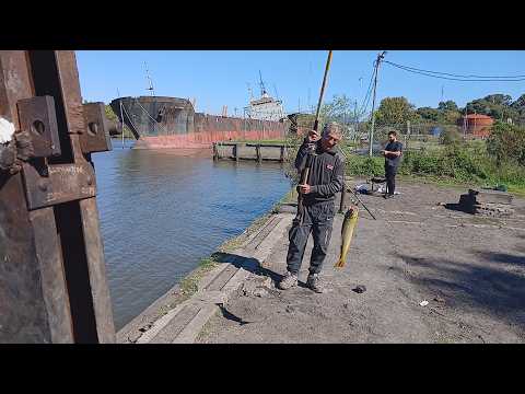 10 abril 2026 - Ensenada - Río Santiago - Bogas y doradillos más bonus track... antes del puente.