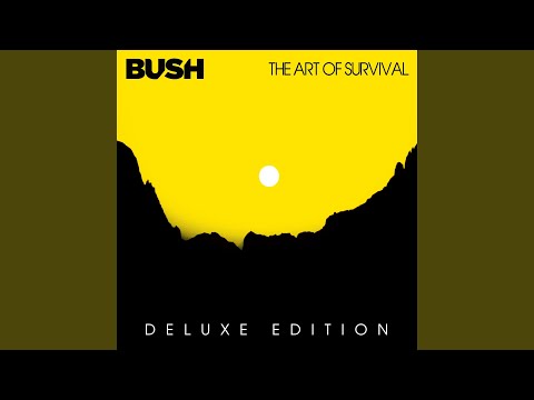 1000 Years (with Amy Lee)