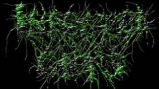 Infected Guts - Cerebral Vomiting