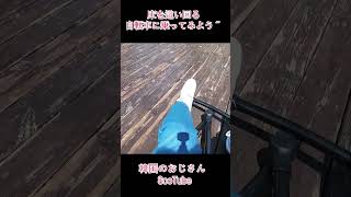 こんな自転車に乗ったことある？ #韓国vlog