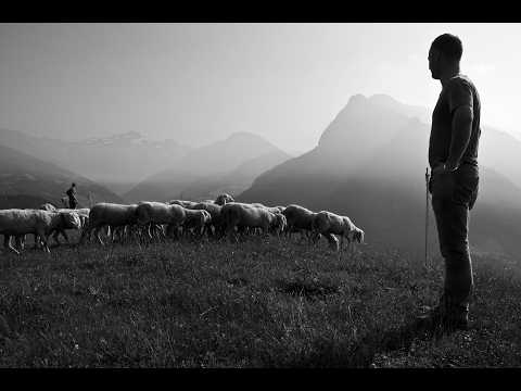 Cover image for Banned Books 442: Giertz — A Shepherd's Letter