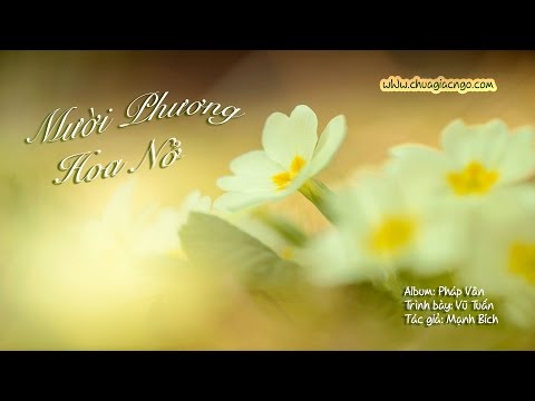 Mười phương hoa nở