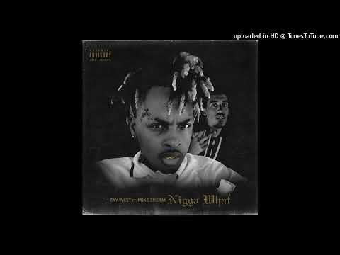 TayWest Feat. Mike Sherm - Nigga What
