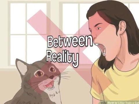 The Quags Bergen Pines Lyric Video