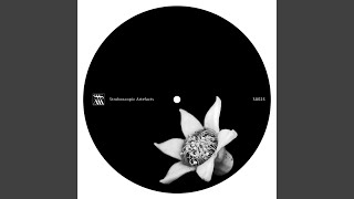 Loop #42 (Minor Science Remix)